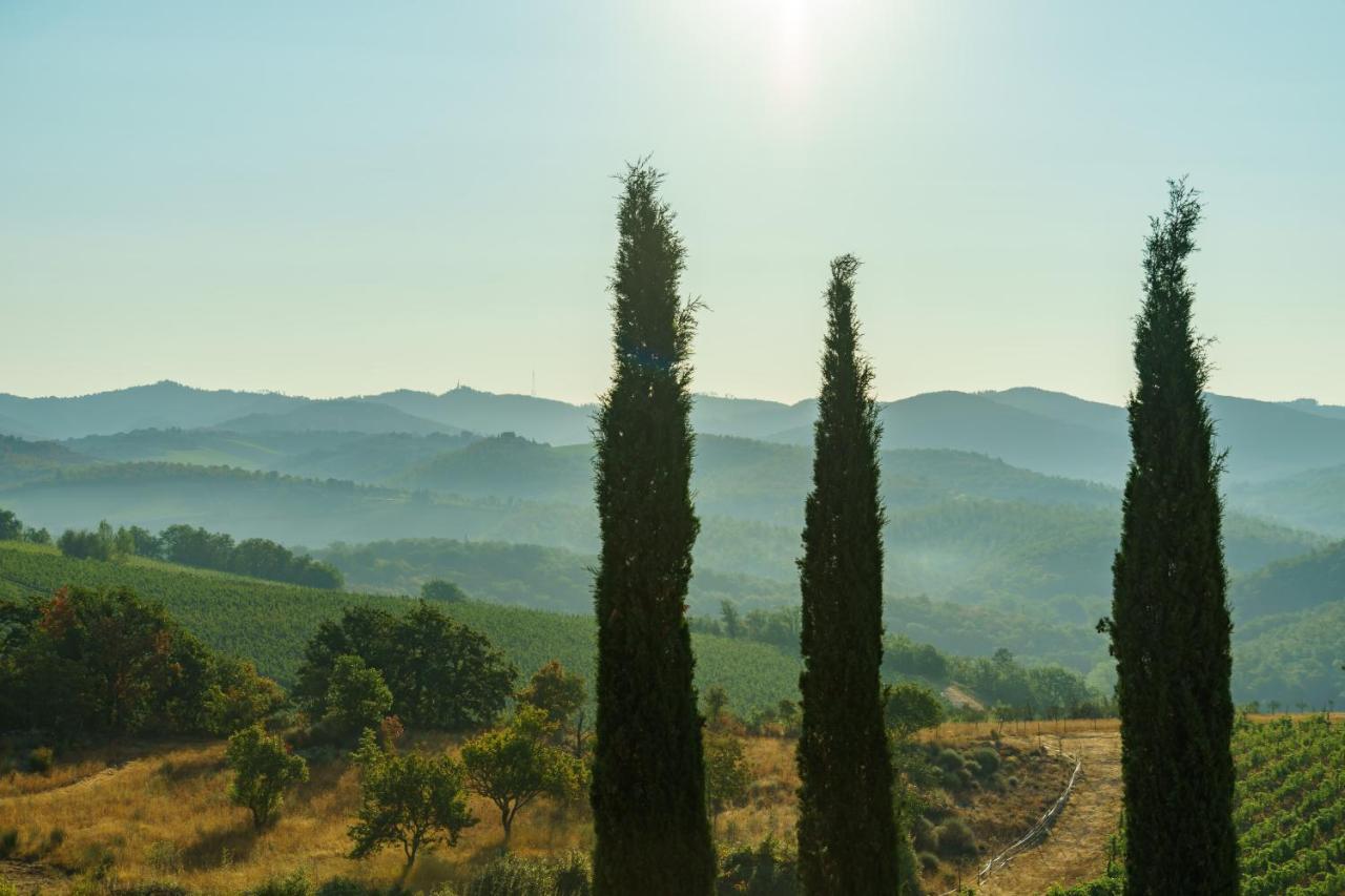 Celle Di Lecchi Nel Chianti Villa San Sano Eksteriør billede
