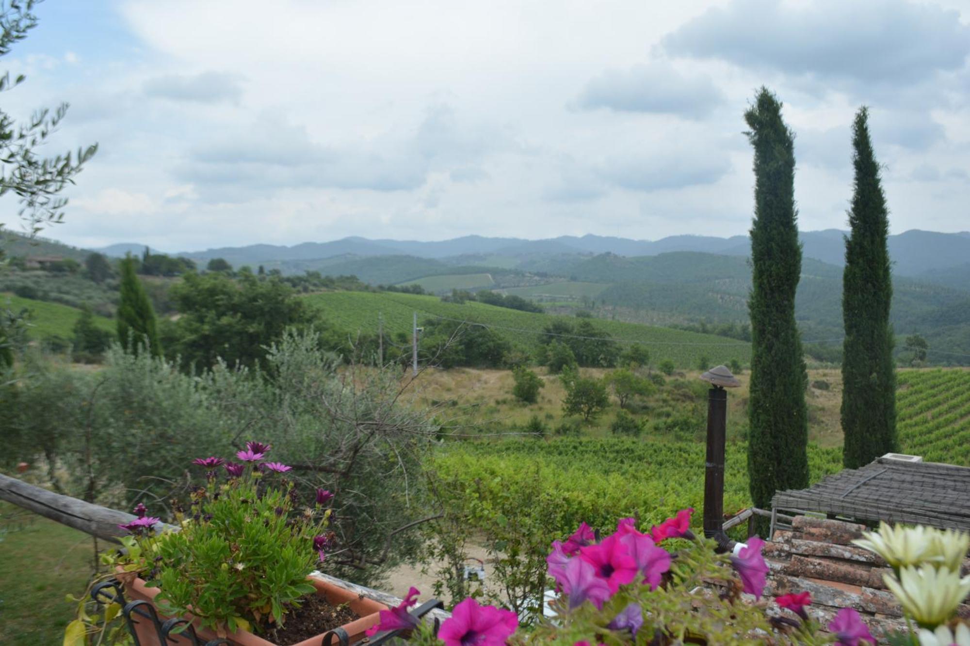 Celle Di Lecchi Nel Chianti Villa San Sano Eksteriør billede