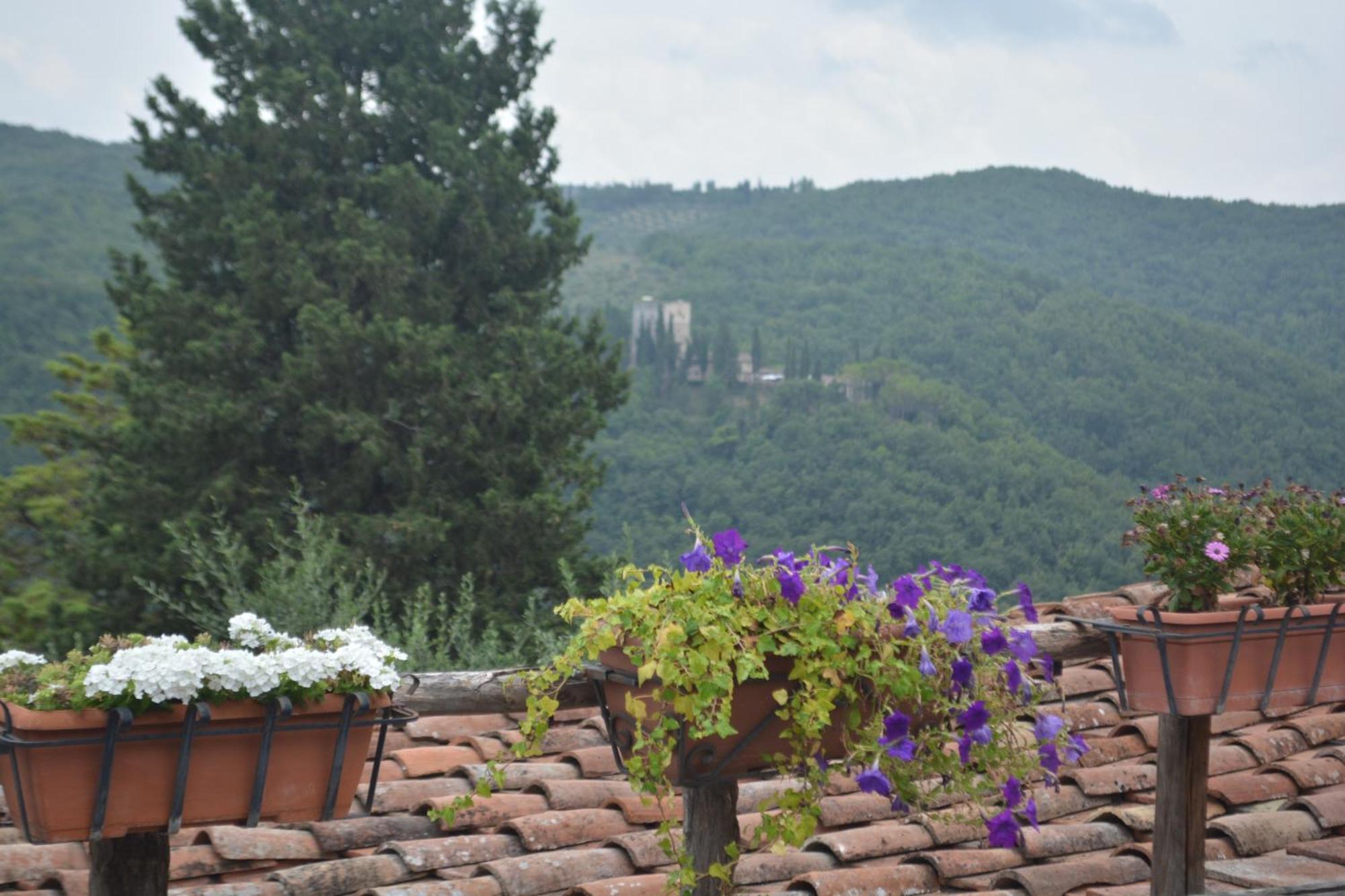Celle Di Lecchi Nel Chianti Villa San Sano Eksteriør billede