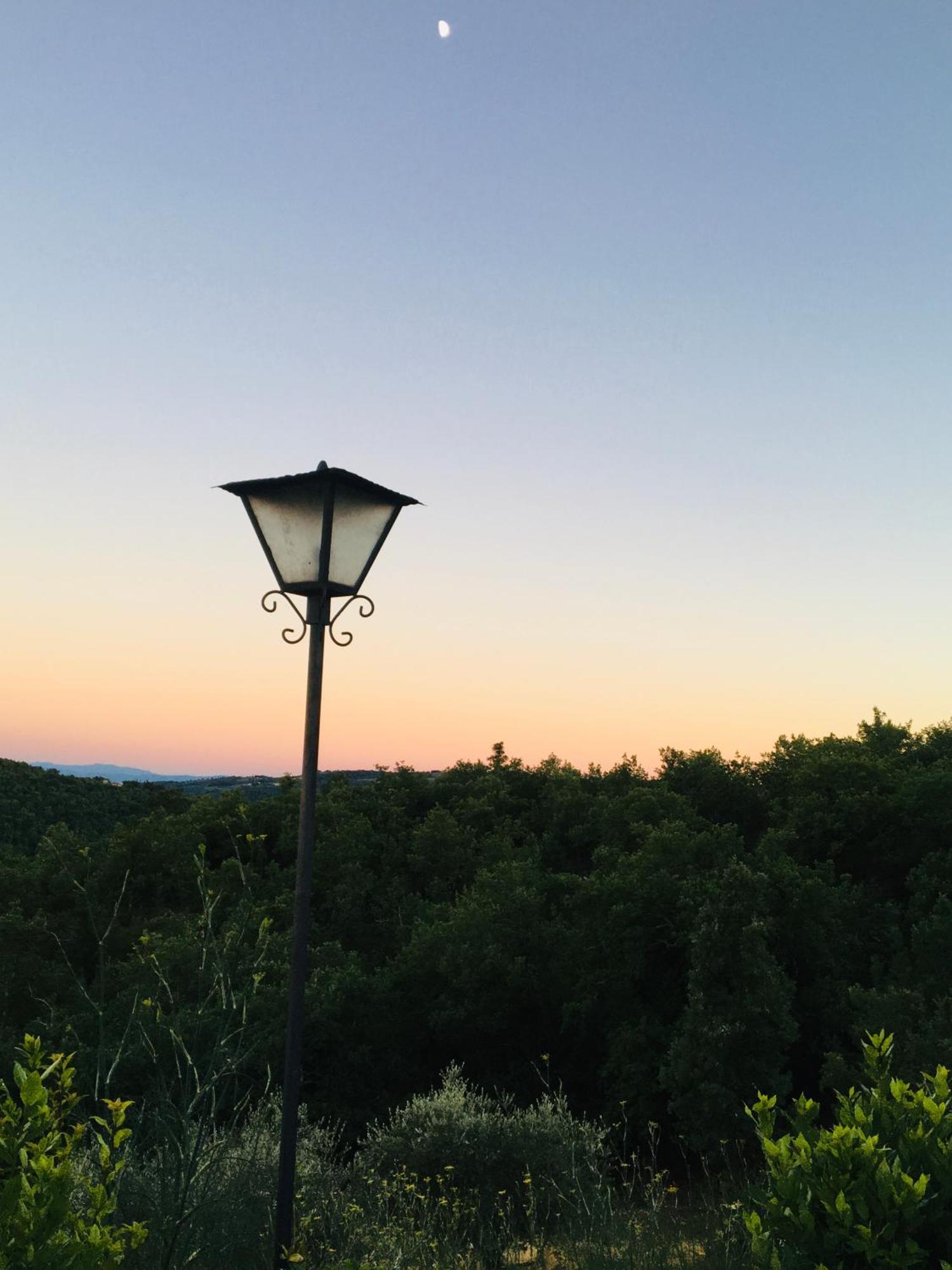 Celle Di Lecchi Nel Chianti Villa San Sano Eksteriør billede