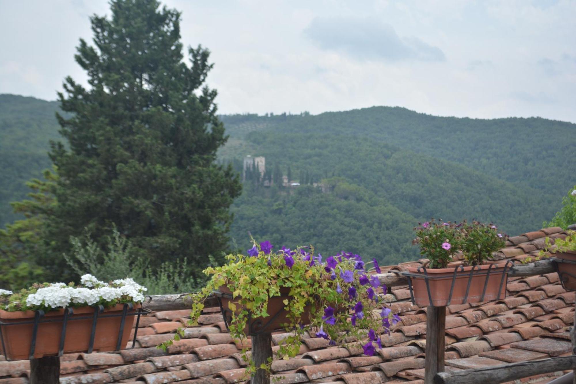 Celle Di Lecchi Nel Chianti Villa San Sano Eksteriør billede