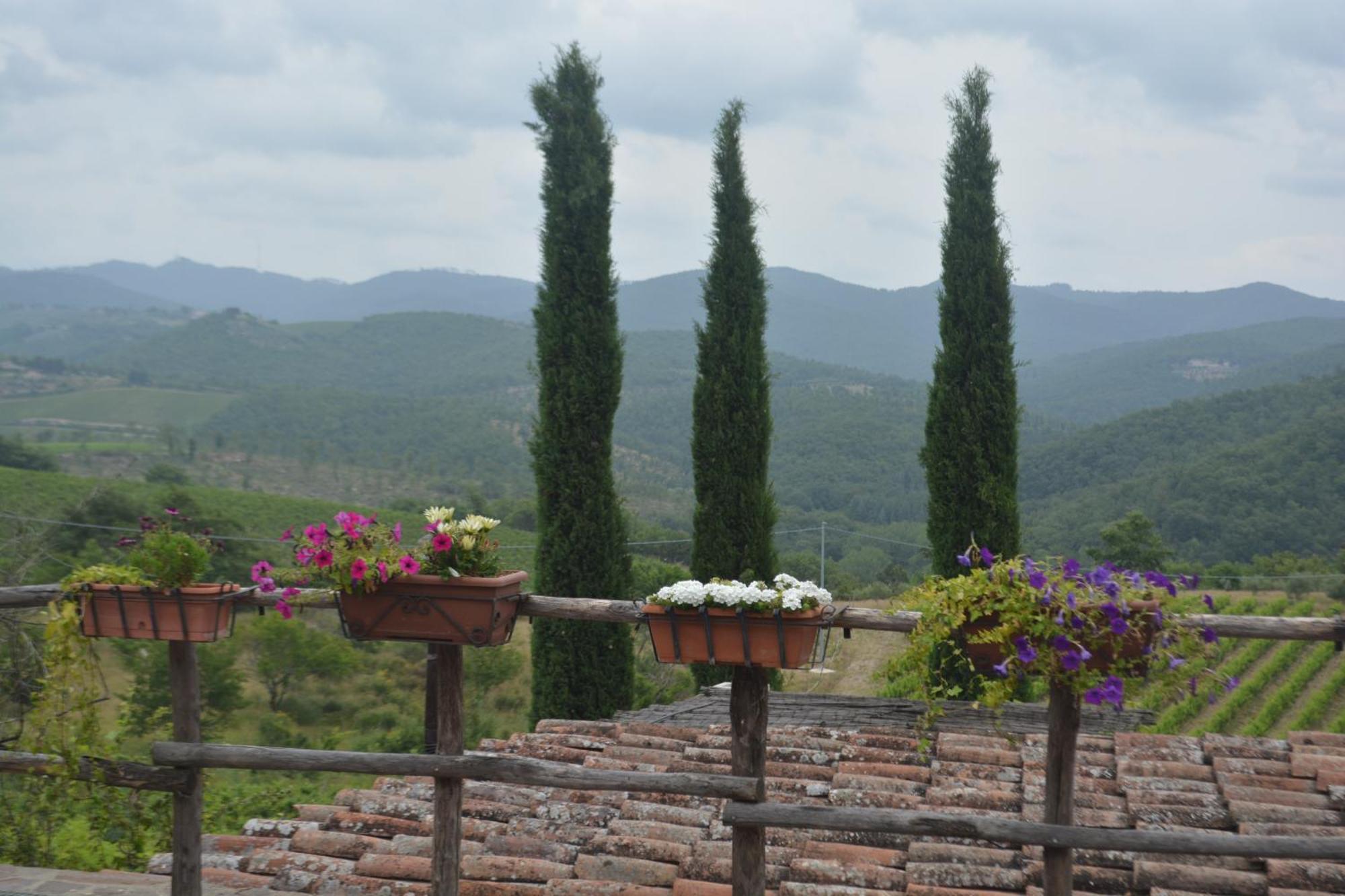 Celle Di Lecchi Nel Chianti Villa San Sano Eksteriør billede
